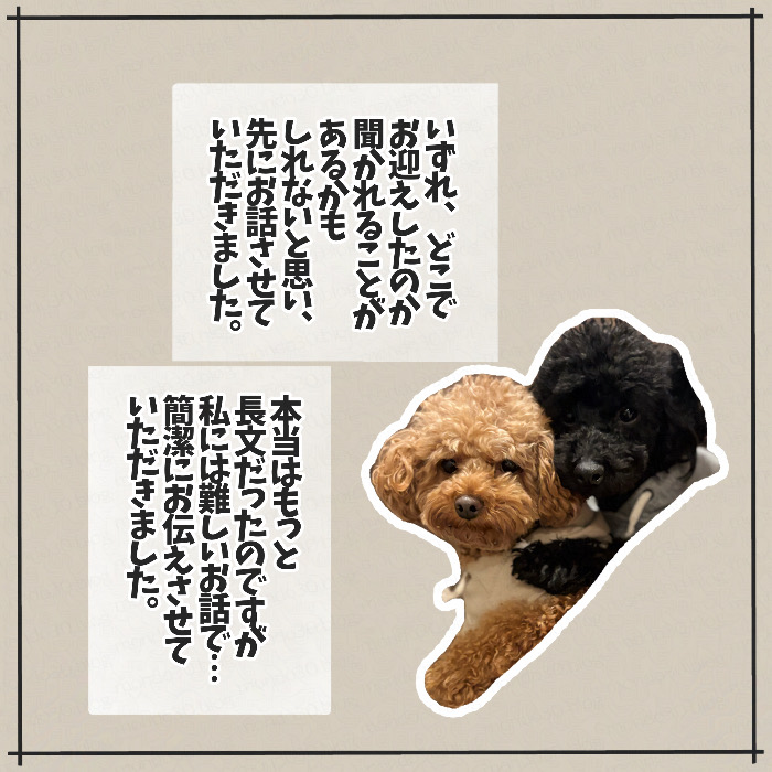 トイプードルのモンドとテツとの出会い 画像7