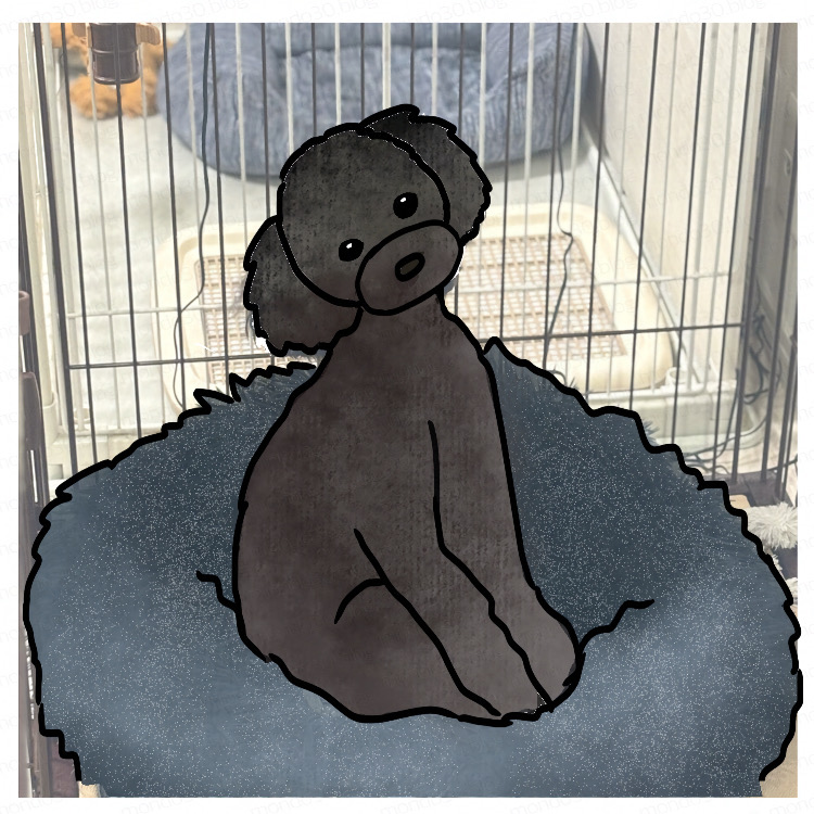 今日のテツ-2