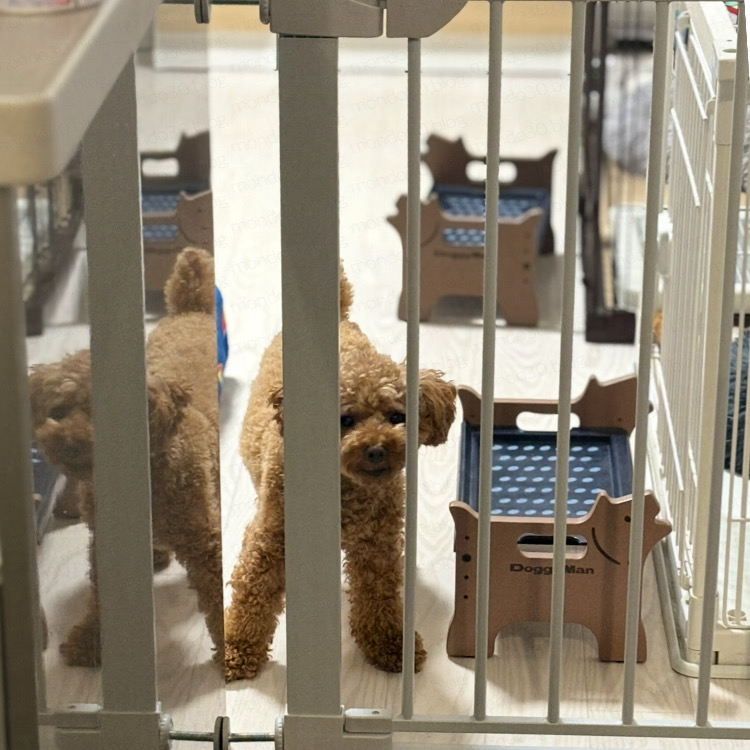 今日のテツ|モンドの実写画像