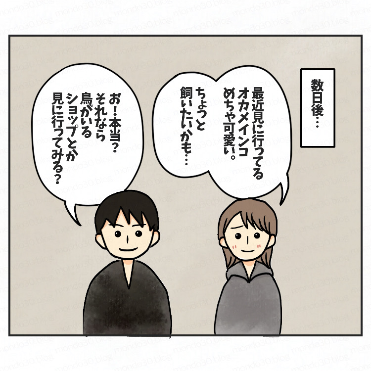 トイプードルモンドをお迎えするまで③画像1