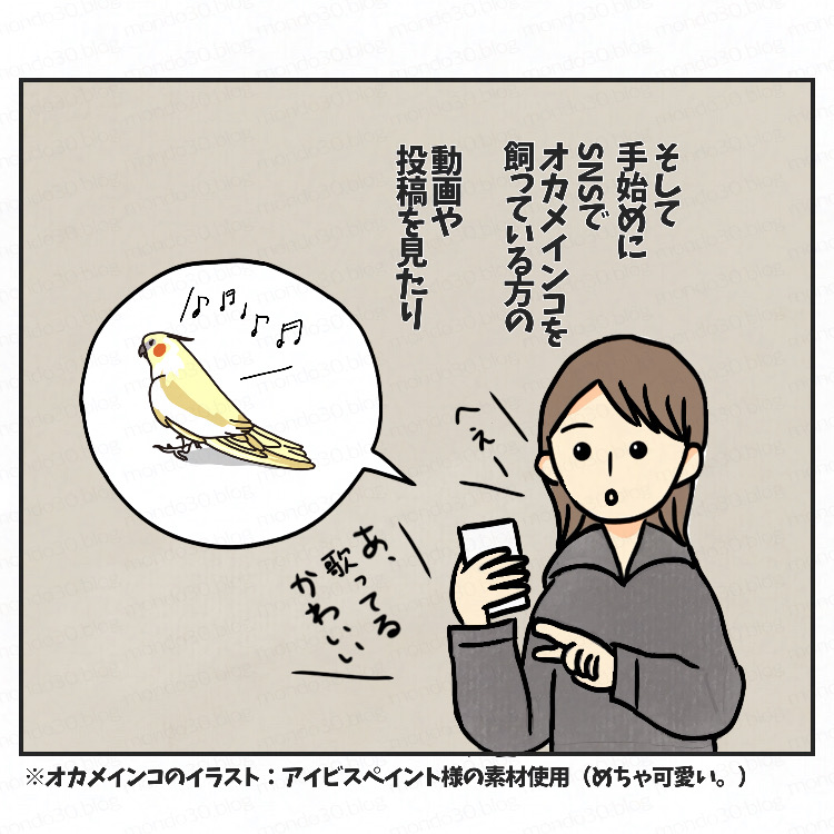 トイプードルモンドをお迎えするまで③画像4