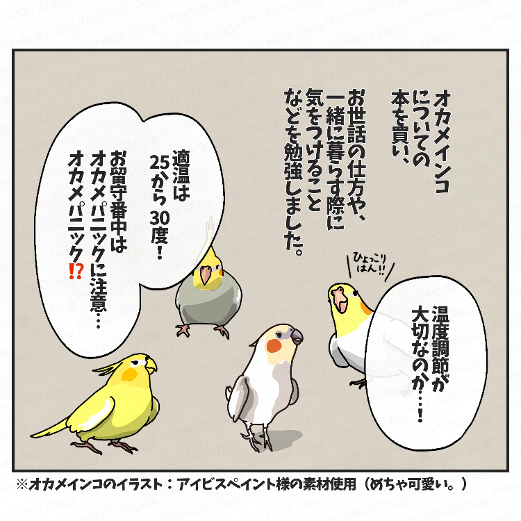 トイプードルモンドをお迎えするまで③画像5