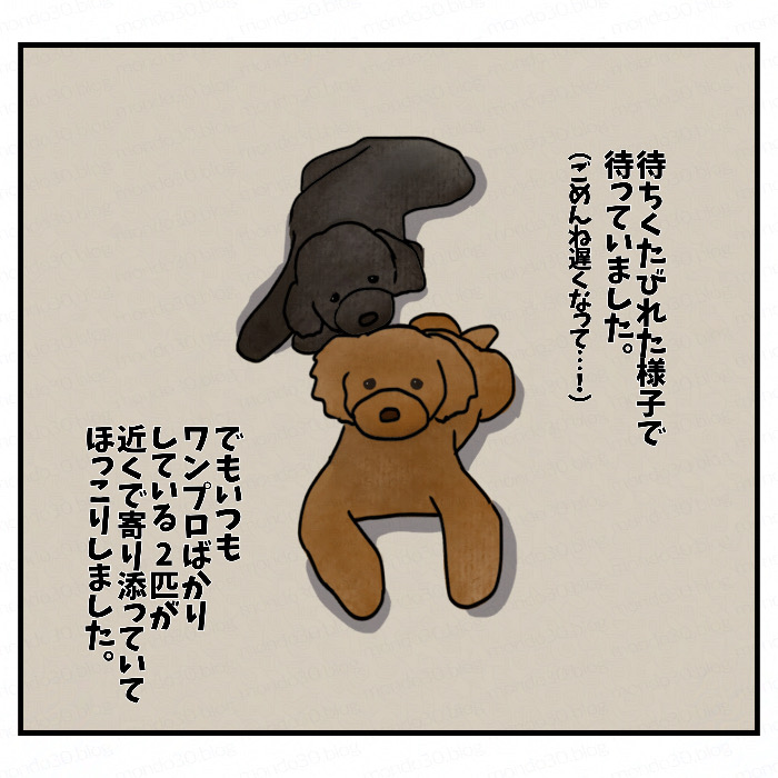 仲良く寄り添う？２匹のトイプードル｜今日のモンドとテツ 画像2