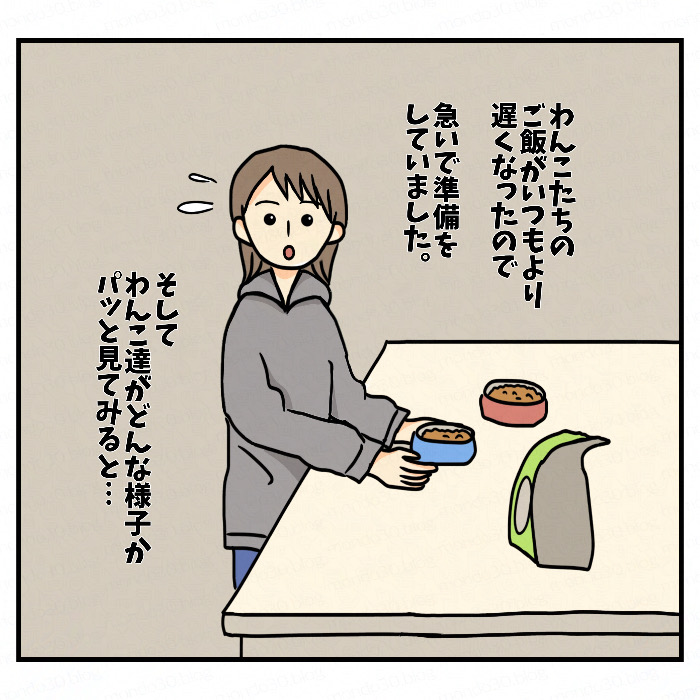 仲良く寄り添う？２匹のトイプードル｜今日のモンドとテツ 画像1
