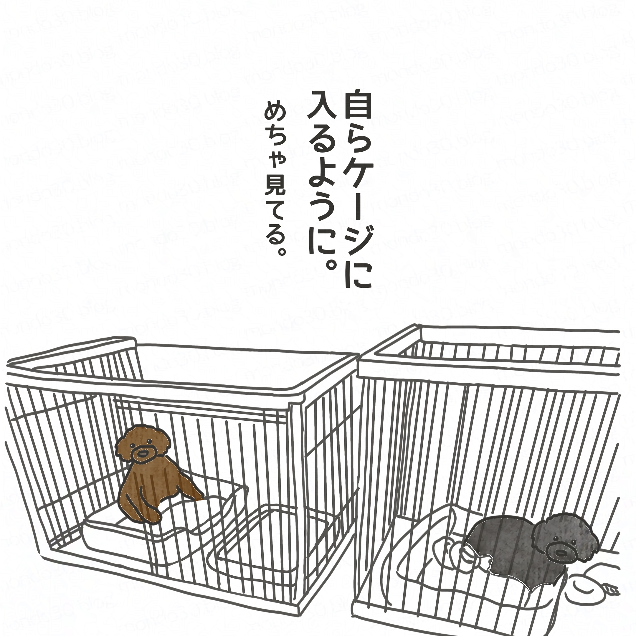 仕事に行く前の朝3