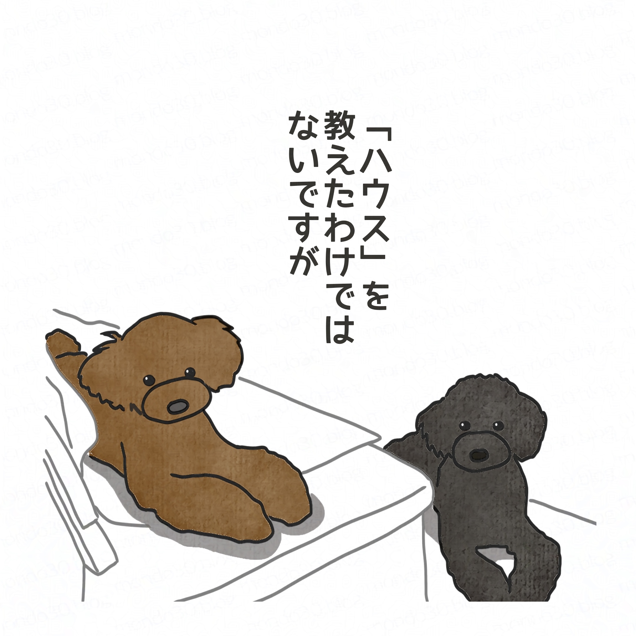 仕事に行く前の朝1